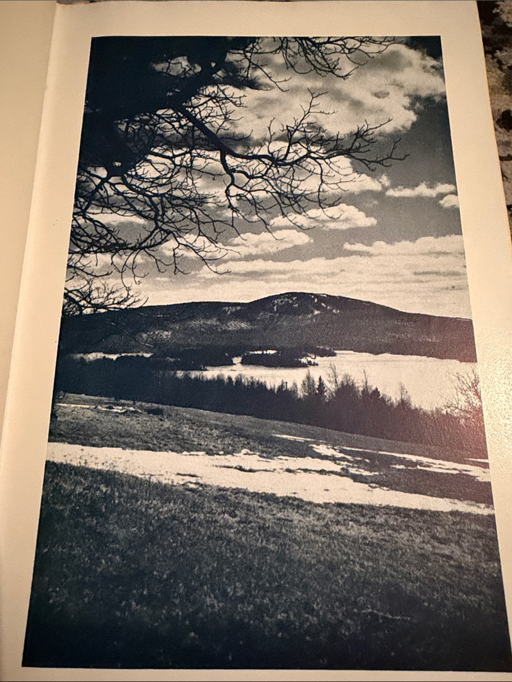 Signed 7th Printing (#918) of "The Maine Land" by Marion Bradshaw,
July, 1945 - Picture 11 of 16
